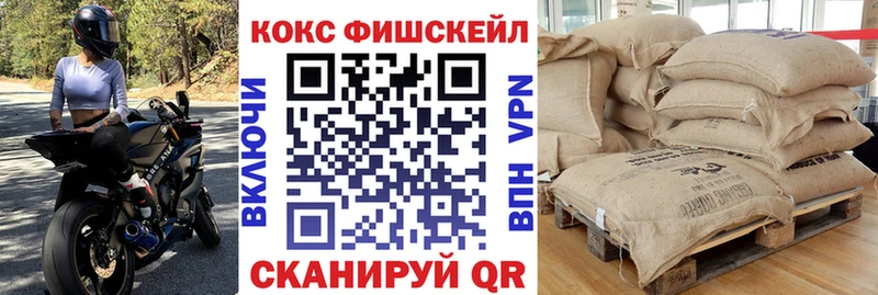 где купить наркоту  Купино  КОКАИН Эквадор 
