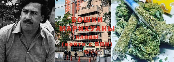 ПСИЛОЦИБИНОВЫЕ ГРИБЫ Медногорск