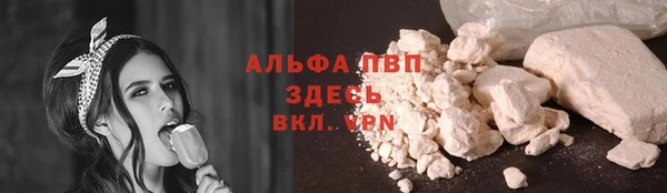 ПСИЛОЦИБИНОВЫЕ ГРИБЫ Медногорск