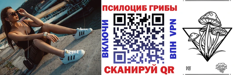 Псилоцибиновые грибы прущие грибы  где купить   Купино 