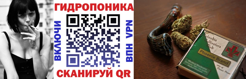 МЕГА ТОР  Купино  Конопля ГИДРОПОН  закладки 